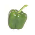Poivron  vert le kg