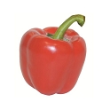 Poivron rouge le kg