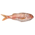Rouget barbet carton 10x800g