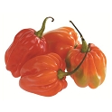 Piment antillais surgele carton 20X200g
