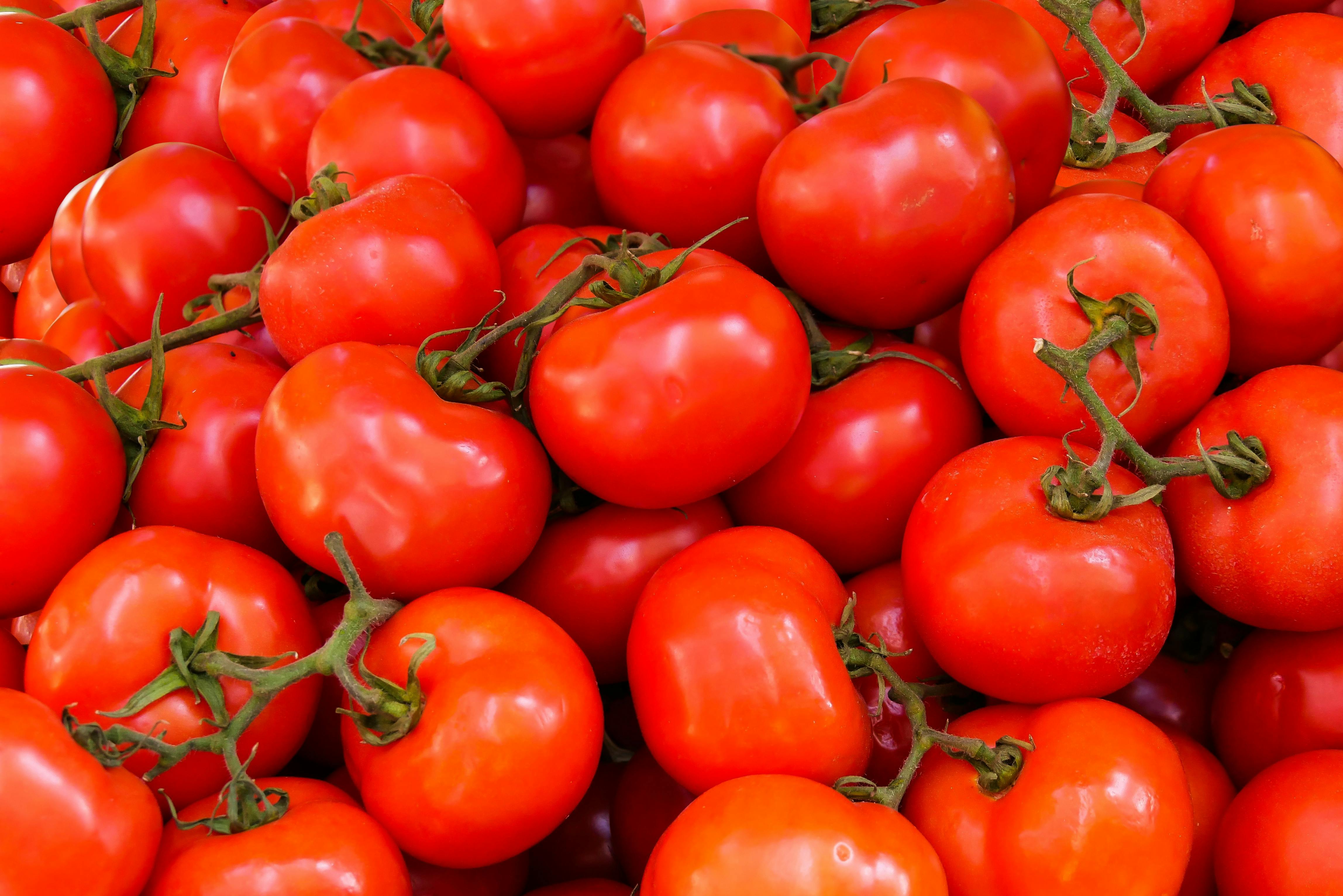 Tomate vrac le kg