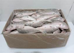 Carangue Entier Nz Carton 20kg