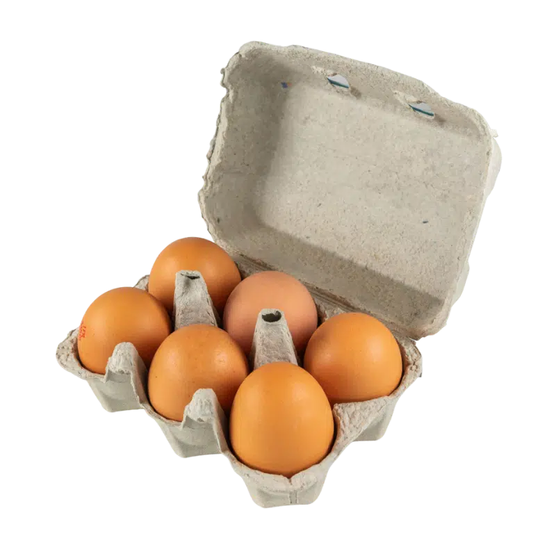 Rochambeau Oeuf X6