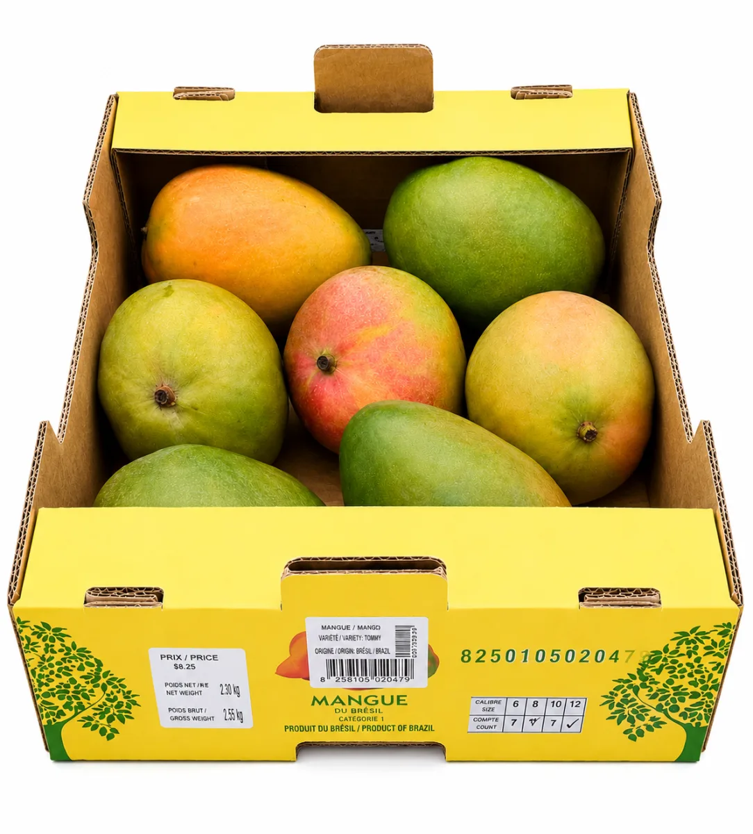 Mangue Bateau Kent Carton 4,5kg