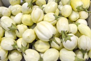Aubergine Blanche Le Kg