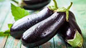 Aubergine violette le kg