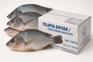 Tilapia Carton De 4kg