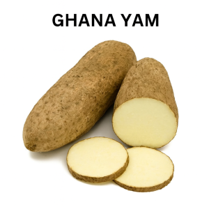 Igname Blanc Le Kg