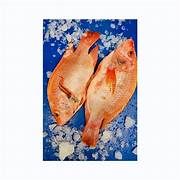 Tilapia Rouge Carton 4kg