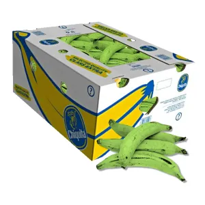 Plantain Vert Carton 22kg