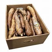 Manioc Carton 18kg