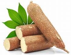 Manioc Le Kg