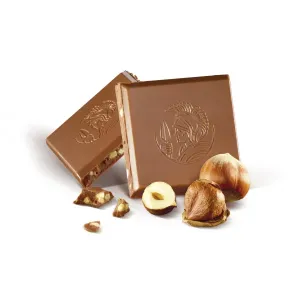Rochambeau Chocolat Aux Noisettes 100g