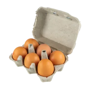 Rochambeau Oeuf X6