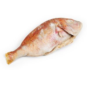 Dorade rouge le kg