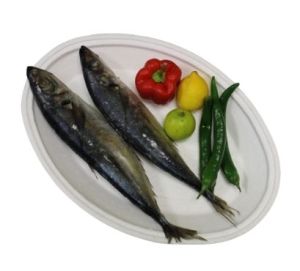 Chinchard Carton De 12kg