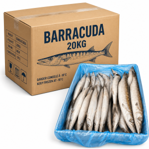 Barracuda Carton 20kg