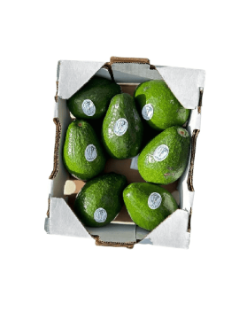 Avocat Tropical Carton 4.5kg