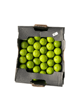 Citron Vert Bresil Carton 5kg