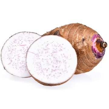 Coco Malanga Le Kg