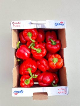 Poivron Rouge Carton 5kg