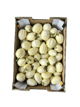 Aubergine Blanche Carton 5kg