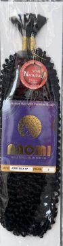 Naomi Jerry Bulk 20" Color # 2
