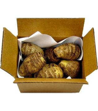 Coco Malanga Carton 12kg