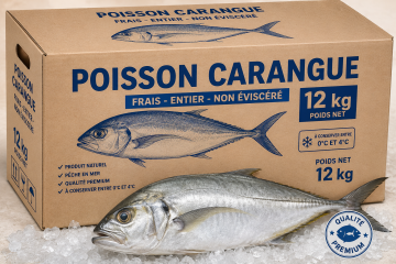 Carangue Carton 12kg