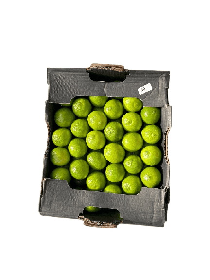 Citron Vert Bresil Carton 5kg