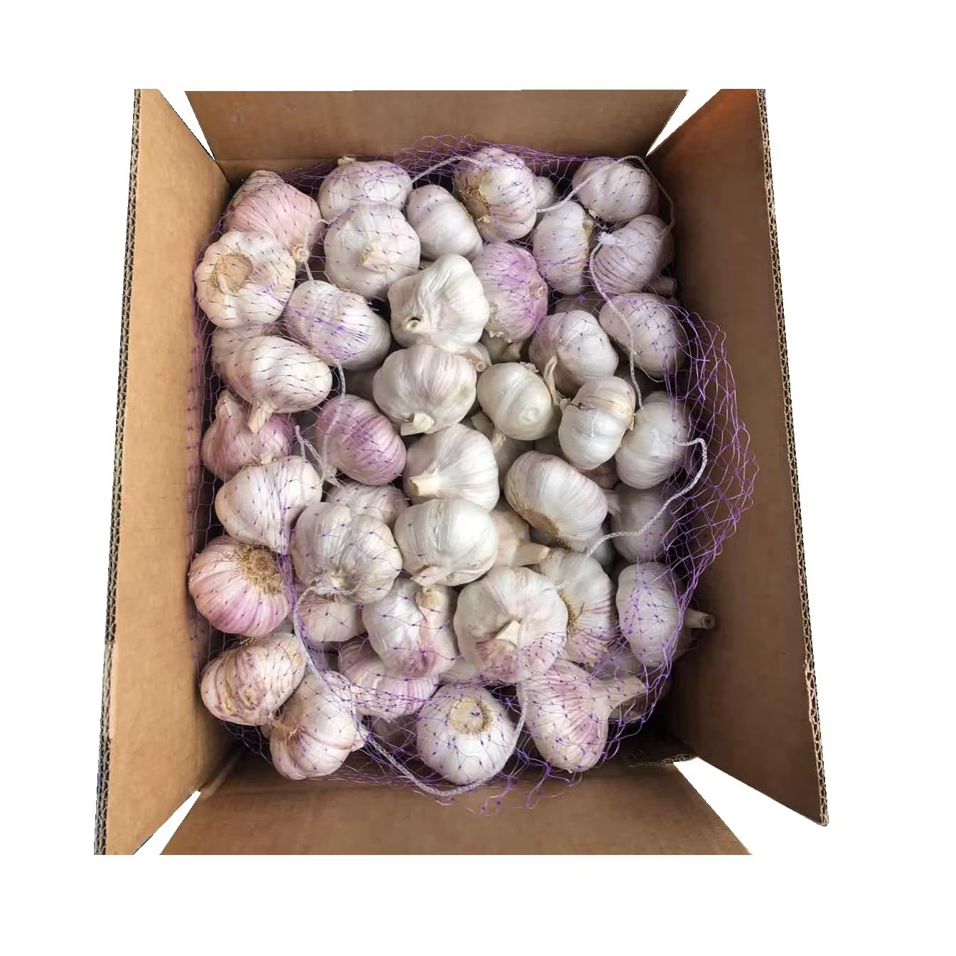 Ail Filet 500g Carton 20 Pieces