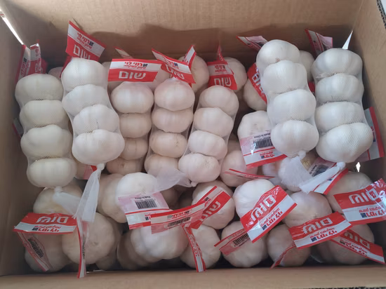 Ail Filet 250g Carton 40 Pieces
