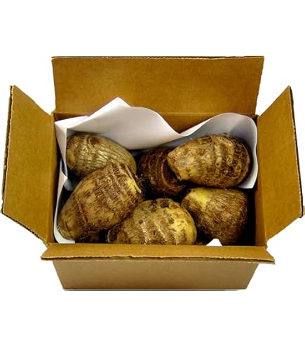 Coco Malanga Carton 12kg