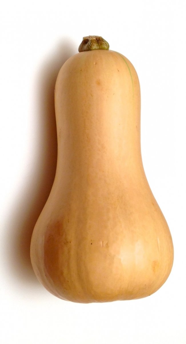 Courge Bouteille Le Kg