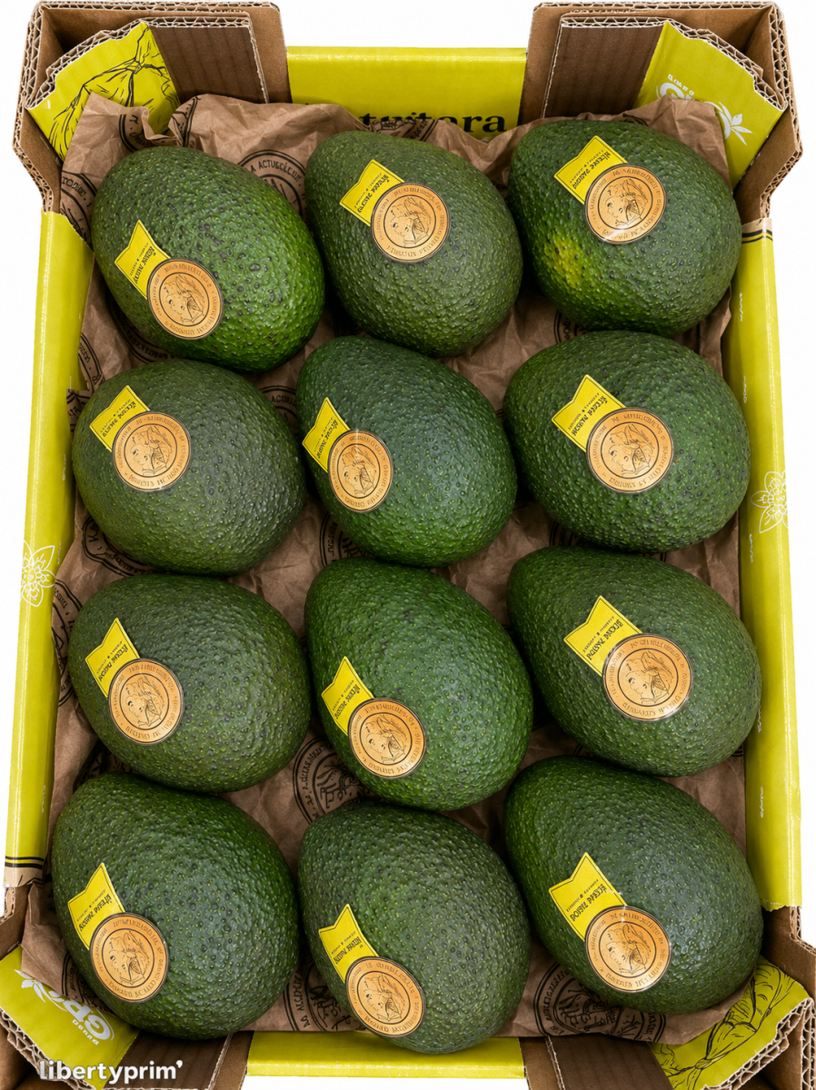 Avocat Hass Perou Carton De 4kg