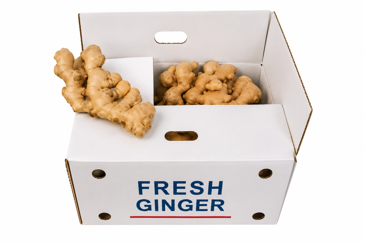 Gingembre Chine Carton 10kg